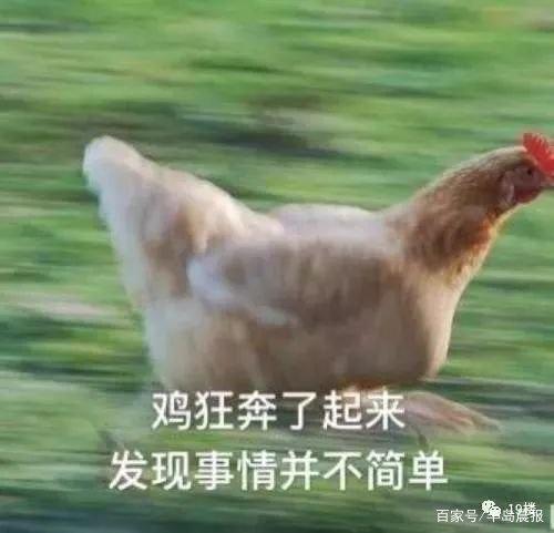 地鐵安檢不允許帶活雞，大媽接下來的行為，把地鐵的小姐姐嚇壞了